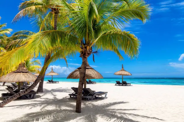 Seychelles Tour