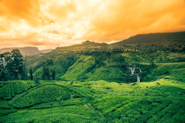 Srilanka Tour